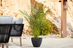 Allen + Roth 16.4In Faux Concrete Planter Black 15 Allen + Roth 16.4In Faux Concrete Planter Black -Allen + Roth Shop 1062828 AlternateImage1