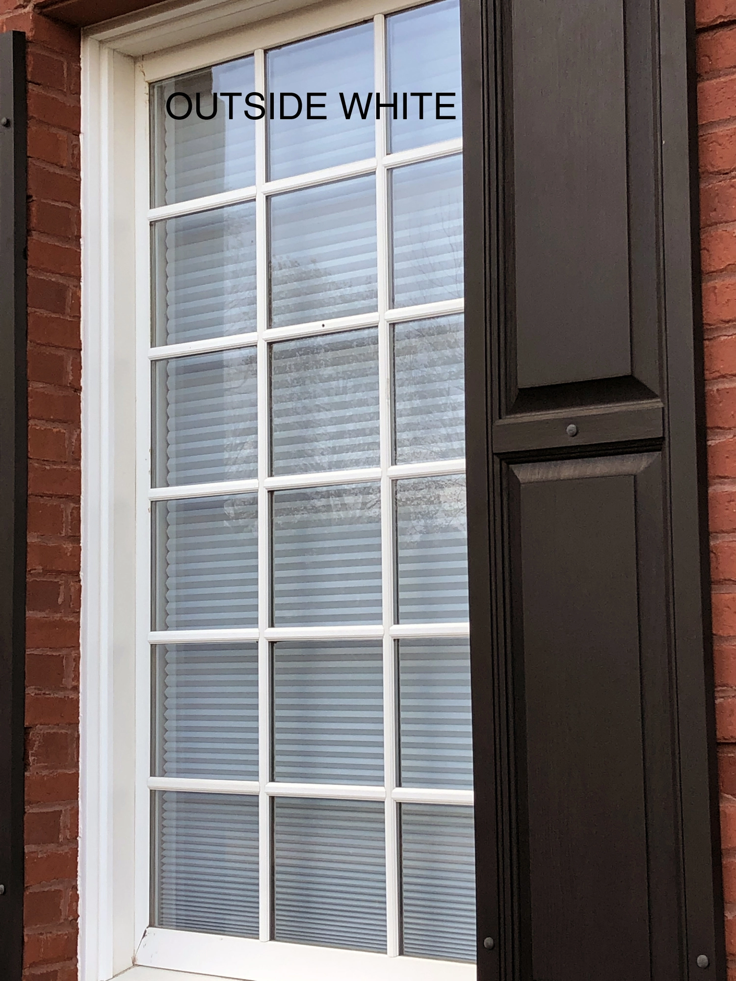 "allen + Roth Blackout Cellular Shade- 45.5"" X 48""- Polyester- Khaki/White" 2 "allen + Roth Blackout Cellular Shade- 45.5"" X 48""- Polyester- Khaki/White" - Image 2