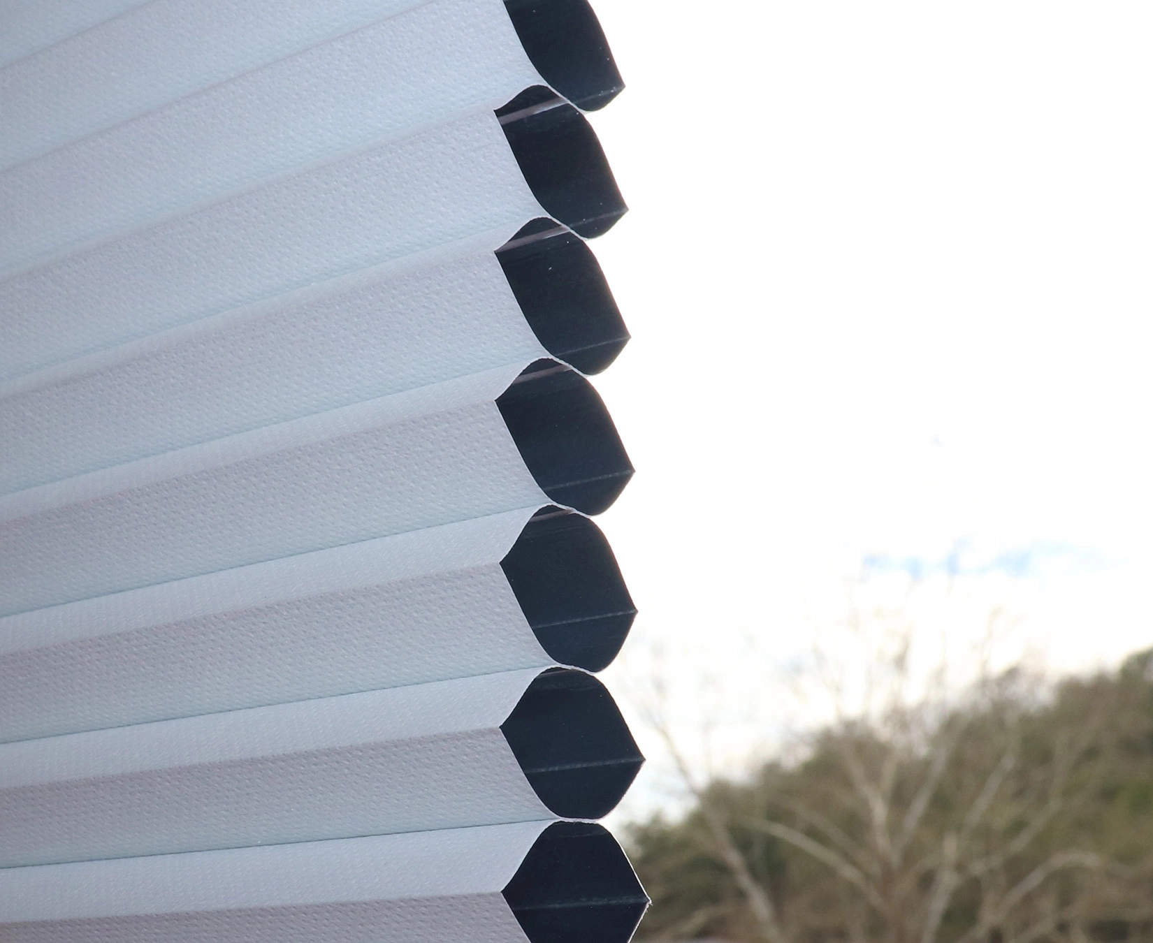 "allen + Roth Blackout Cellular Shade - 46.5"" X 64"" - Polyester - White" 1 "allen + Roth Blackout Cellular Shade - 46.5"" X 64"" - Polyester - White"