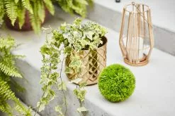 Allen + Roth 1-Pack 8.25-in W X 8.25-in H Metal Gold Planter