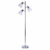ALLEN + ROTH Catalina 67-in Chrome Casual/Transitional Standard Type Indoor Floor Lamp With Glass Shade