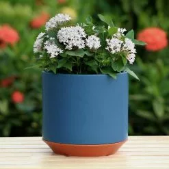 Allen + Roth 1-Pack 8 X 7.7 Navy Ceramic Planter 8 Allen + Roth 1-Pack 8 X 7.7 Navy Ceramic Planter -Allen + Roth Shop 918712 16481051