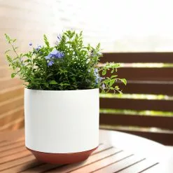 Allen + Roth 1-Pack 10.2 X 9.8 White Ceramic Planter 16 Allen + Roth 1-Pack 10.2 X 9.8 White Ceramic Planter -Allen + Roth Shop 918713 16508769