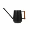 Allen + Roth Watering Can - Wood And Steel - Black